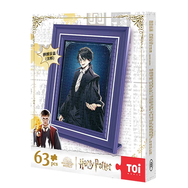 TOI Harry Potter Memories Cuadro Acrílico Blind Box